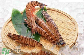 蝦爬子怎么扒皮？蝦爬子怎么剝殼？