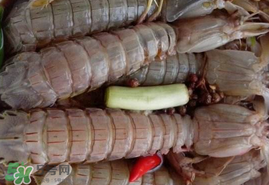 哺乳期能吃蝦爬子嗎？喂奶可以吃蝦爬子嗎？