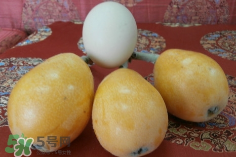 枇杷是什么季節(jié)的水果？枇杷什么季節(jié)吃