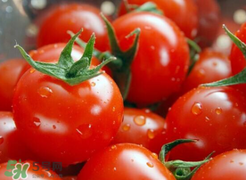 西紅柿和花甲能一起吃嗎？花甲能和西紅柿同吃嗎？