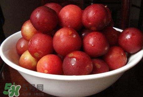 李子不能和什么一起吃？李子不能和什么同吃