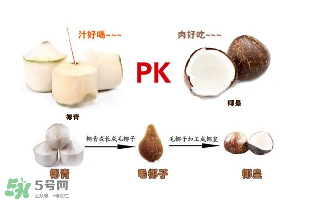 椰子怎么打開？椰子殼怎樣打開