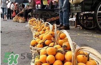 枇杷是什么季節(jié)的水果？枇杷什么季節(jié)吃