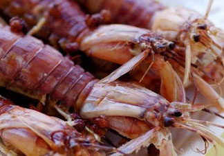 哺乳期能吃蝦爬子嗎？喂奶可以吃蝦爬子嗎？