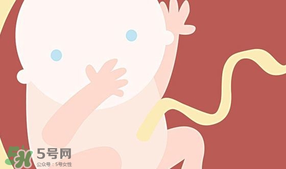 胎兒發(fā)育關(guān)鍵時(shí)期是什么時(shí)候？胎兒發(fā)育黃金期