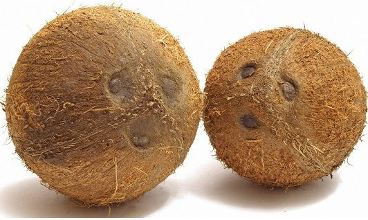 椰子怎么吃？如何吃到椰子肉