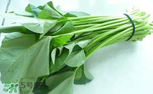 苕尖怎么炒？苕尖的做法