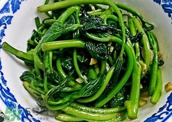 苕尖怎么炒？苕尖的做法