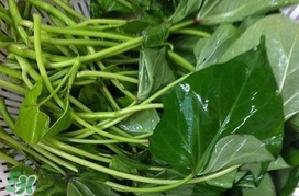 芍尖不能和什么一起吃？苕尖不能和什么一起吃