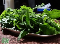 苕尖是發(fā)物嗎？苕尖是不是發(fā)物