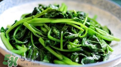 苕尖是發(fā)物嗎？苕尖是不是發(fā)物