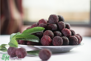 楊梅什么時候上市？楊梅幾月上市？