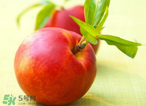 油桃可以放冰箱嗎？油桃能放冰箱嗎？