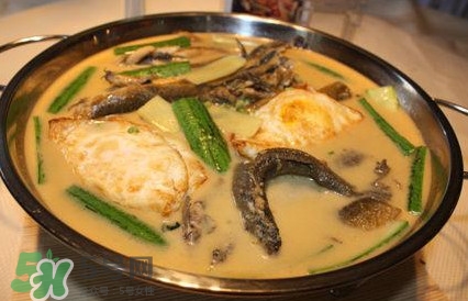 泥鰍是魚嗎？泥鰍是海鮮嗎