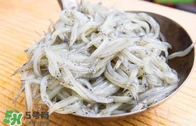 銀魚是面條魚嗎？面條魚和銀魚的區(qū)別