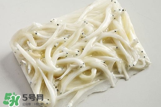 面條魚是什么魚？面條魚是海水魚嗎