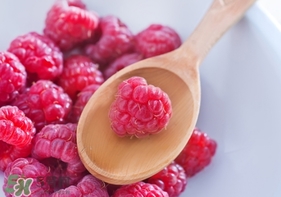 刺泡怎么保存？刺泡保存方法