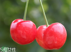 櫻桃籽有毒嗎？櫻桃籽能吃嗎？