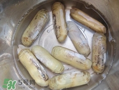 怎么樣讓蟶子吐沙？如何讓蟶子吐沙