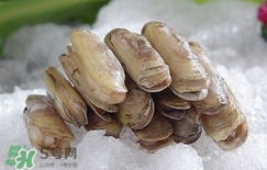 蟶子怎么看死活？怎么判斷蟶子死活