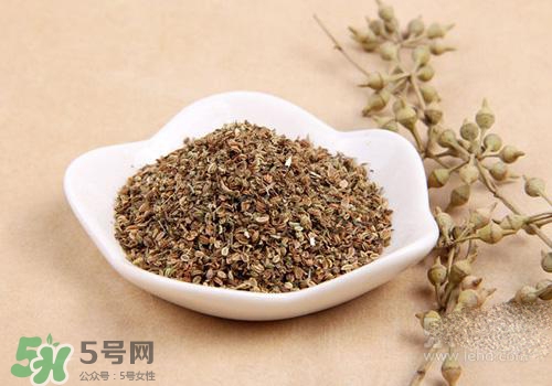 吃中藥可以吃魚(yú)？吃中藥吃魚(yú)會(huì)怎么樣？