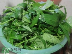 番薯葉怎么種？怎樣種番薯葉