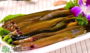 泥鰍是發(fā)物嗎？泥鰍是不是發(fā)物