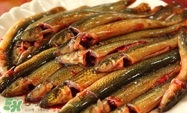 泥鰍是發(fā)物嗎？泥鰍是不是發(fā)物