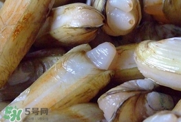 蟶子是海鮮嗎？蟶子是海鮮還是河鮮