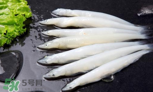 面條魚有刺嗎？面條魚有鱗嗎