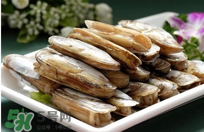 蟶子是海鮮嗎？蟶子是海鮮還是河鮮