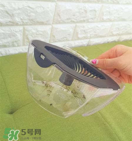 inadays滅蚊燈有用嗎？inadays滅蚊燈有效果嗎？