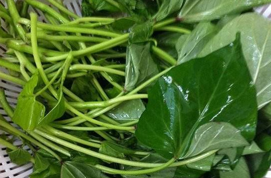 苕尖孕婦能吃嗎？苕尖孕婦可以吃嗎