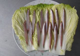 青島面條魚是什么魚？青島面條魚叫什么