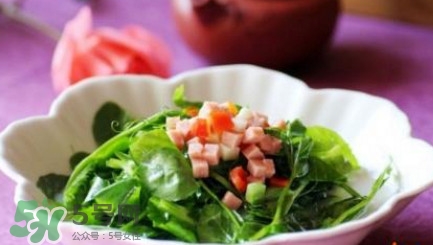 番薯葉怎么炒好吃？番薯葉的做法