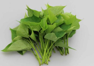 番薯葉是紅薯葉嗎？番薯葉和紅薯葉的區(qū)別