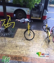 女子穿高跟鞋追公交 摔倒后遭碾壓身亡 女子穿高跟鞋追公交 摔倒后遭碾壓身亡