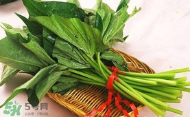 苕尖怎么炒？苕尖的做法