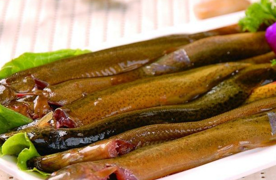 泥鰍有刺嗎？泥鰍有鱗片嗎