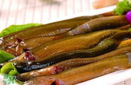 泥鰍什么季節(jié)有？泥鰍什么季節(jié)吃最好