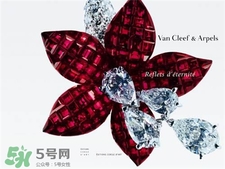 vca是什么牌子?梵克雅寶是哪個(gè)國(guó)家的牌子? vca是什么牌子?梵克雅寶是哪個(gè)國(guó)家的牌子?