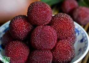 楊梅為什么有蟲子？楊梅有蟲能吃嗎？