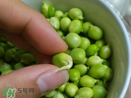 新鮮豌豆發(fā)芽了能吃嗎？豌豆發(fā)芽了還能吃嗎？