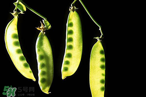 嫩豌豆能生吃嗎？為什么嫩豌豆可以生吃？