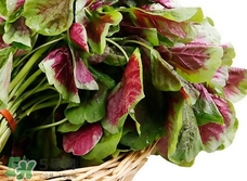 紅莧菜不能和什么一起吃?紅莧菜和什么食物相克? 紅莧菜不能和什么一起吃?紅莧菜和什么食物相克?