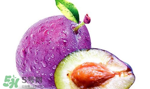 新鮮烏梅能直接吃嗎？新鮮烏梅能不能直接吃