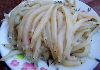 面條魚如何保存？面條魚怎么保存