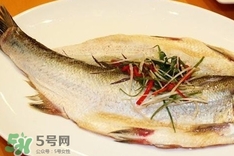 白條魚怎么做好吃？白條魚怎么吃好吃
