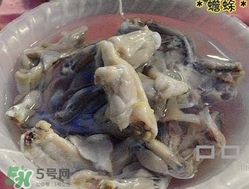 癩蛤蟆能吃嗎？癩蛤蟆可以吃嗎