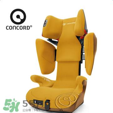 concord中文是什么？concord的中文名字怎么翻譯？